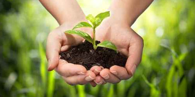 Penetrx treatment utilizes green technology to keep the environment clean.